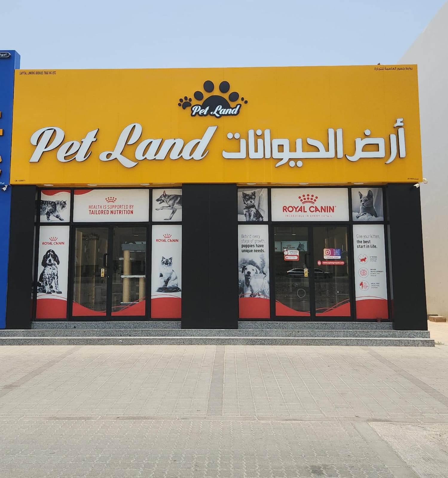 Petland Mabelah