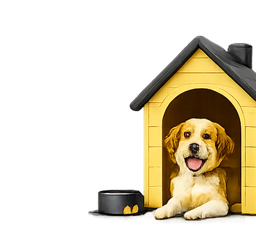 Pet Boarding